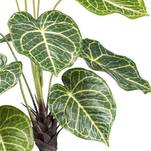 Flourify kunstplant - Syngonium - 70 cm