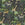 Sanders & Sanders fotobehang jungle dieren bruin en groen - 424 x 280 cm - 640887