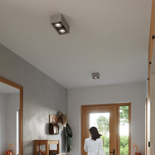 Sollux Lighting Plafondlamp QUATRO 2 beton - 27x14x9cm