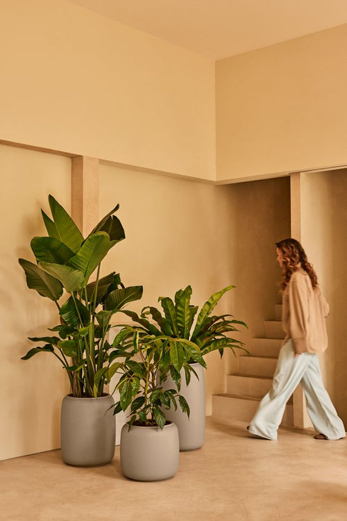 Elho Amber Beads Small Beige - Ø39cm - vtwonen shop