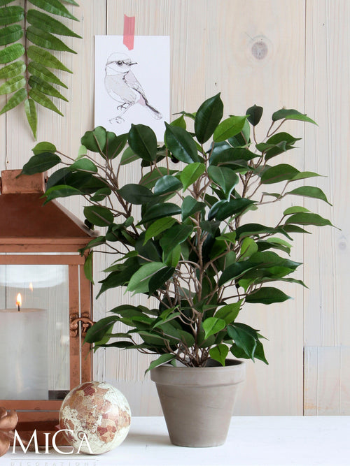 Mica Decorations Ficus Natasja Kunstplant in Bloempot Stan - H40 x Ø30 cm - Groen