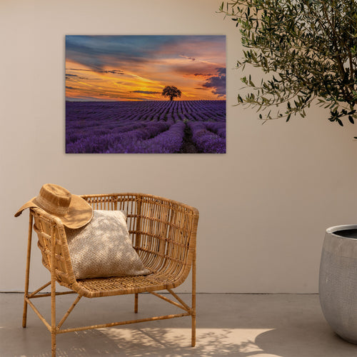 Art for the Home Buitencanvas - Lavendelveld bij zonsondergang - 50x70cm