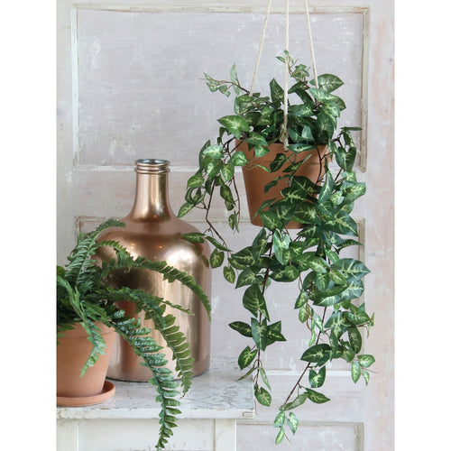 Mica Decorations Fittonia Kunst Hangplant - L15 x B30 x H80 cm - Groen