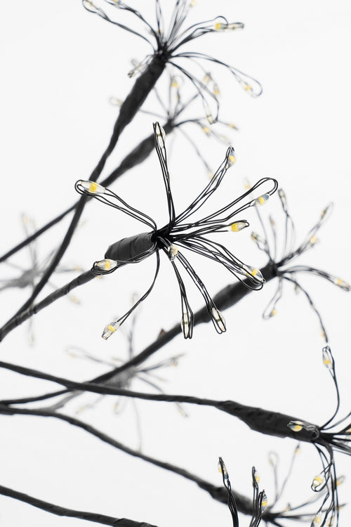 Luca Lighting Kerstverlichting Bal met Warm Witte LED Lampjes - Ø30 cm - Zwart - vtwonen shop