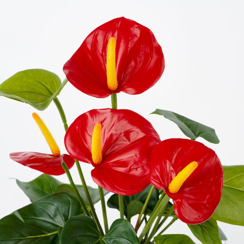 Mica Decorations Anthurium Kunstplant in Bloempot Stan - H38 x Ø30 cm - Rood