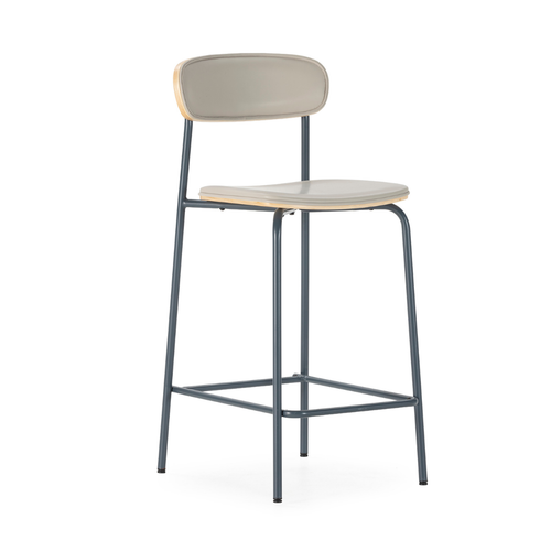 Calicosy - Barkrukken (Set van 2) TESS 50x41x95 cm