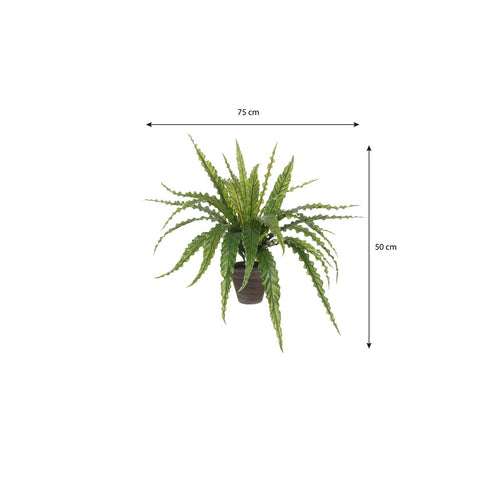 Mica Decorations Asplenium Kunstplant in Bloempot Stan - H54 x Ø66 cm - Groen