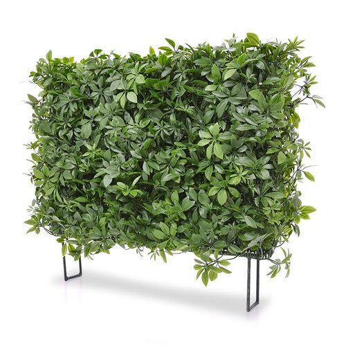 Maxifleur Schefflera kunstheg 80x25x56cm - UV bestendig