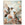 Reinders tuinposter Schaap in de mist - 80x60cm