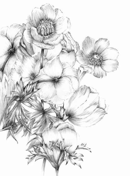 Komar fotobehang bloemtekeningen zwart wit - 184 x 248 cm - 611112