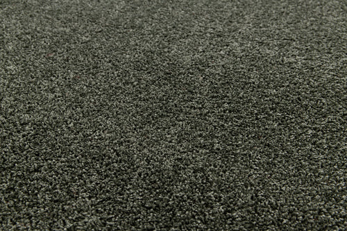 AFK Living vloerkleed Everyday - zeer zacht - groen - 200x290 cm