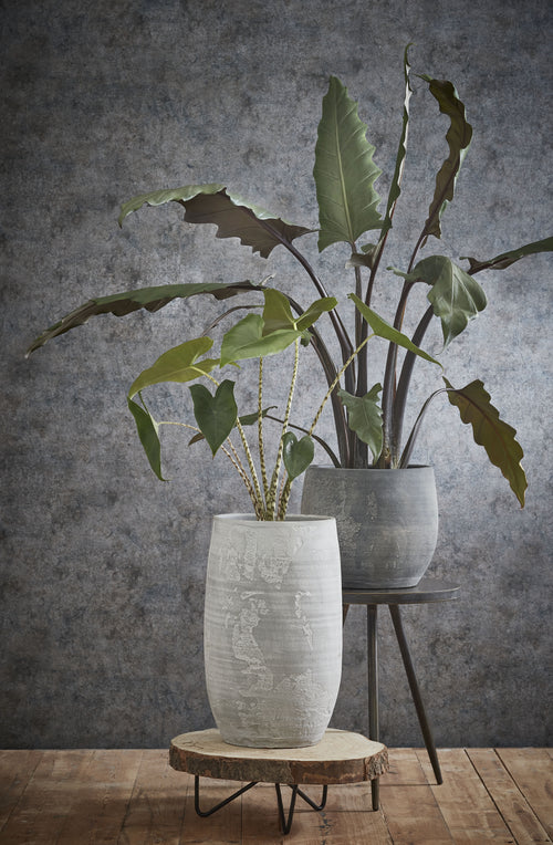 Mica Decorations Pia Boomstam Bijzettafel - H14 x Ø40 cm - Lichtbruin - vtwonen shop