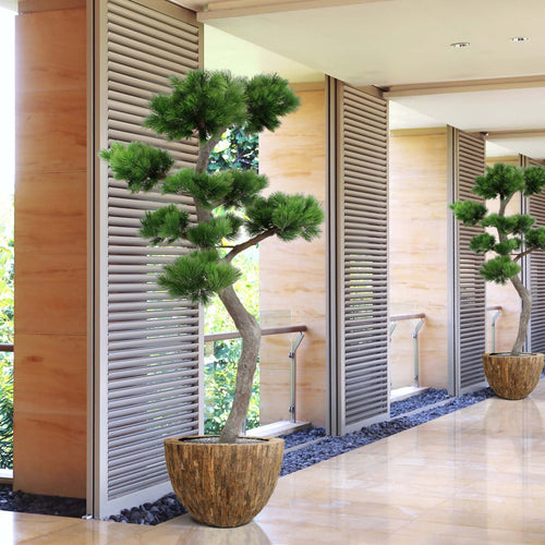 Maxifleur Pinus Bonsai XL kunstboom 200cm - UV bestendig