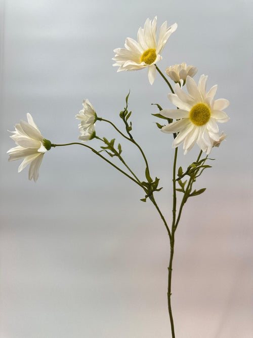 My Flowers.shop Witte margriet zijden bloem | Lengte 60 centimeter | Per stuk - vtwonen shop