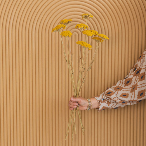 My Flowers.shop Geel naturel gedroogd Duizendblad | Geel naturelle Achillea Parker droogbloemen | 10 stelen per bos | Lengte 65 centimeter - vtwonen shop