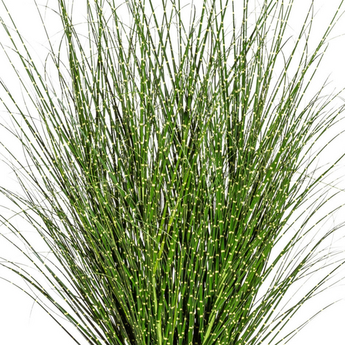 Flourify - Kunstgras - Miscanthus Zebrinus - 140 cm