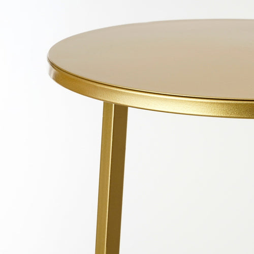 Mica Decorations Adine Planttafel - H120 x  Ø35 cm - Goud