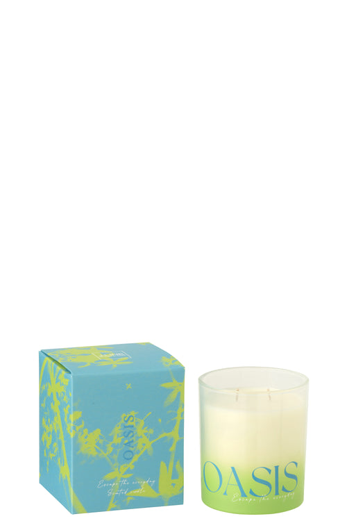 J-Line geurkaars Oasis - Spring Ivy & Neroli - polyresin - blauw/groen - large