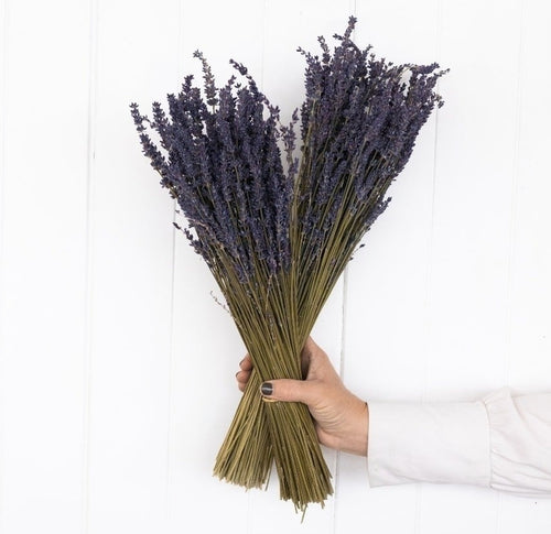 My Flowers.shop Twee bossen gedroogde Lavendel | 100 gram per bos | Super Deal - vtwonen shop