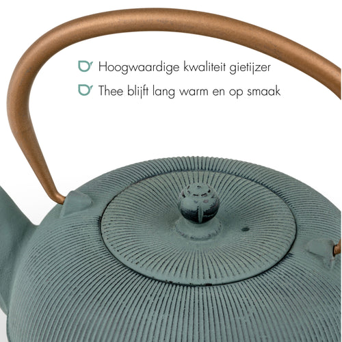 Bredemeijer - Gietijzeren theepot Sichuan - 1 liter - Blauw - Met filter - vtwonen shop