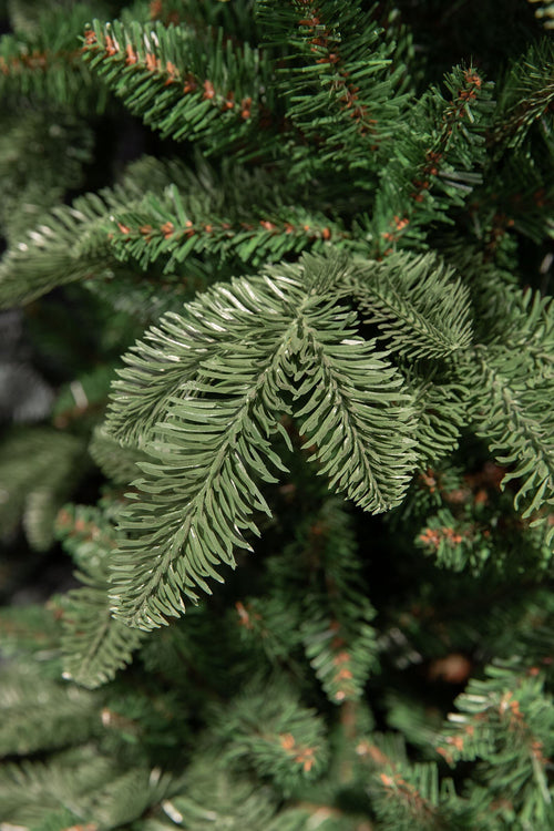 Triumph Tree Abies Nordmann Guirlande - L180 cm - Groen - vtwonen shop