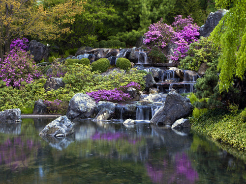 Sanders & Sanders fotobehang waterval groen en paars - 180 x 127 cm - 600346