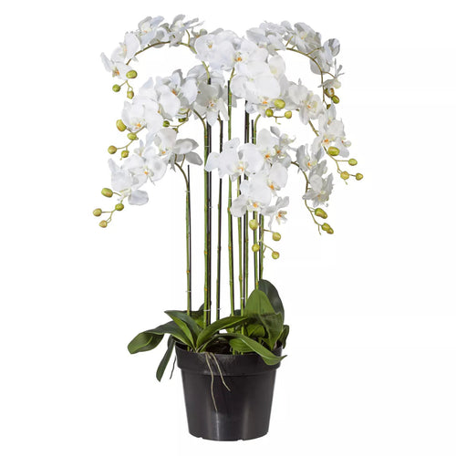 Flourify - Kunstbloem - Orchidee - 110 cm