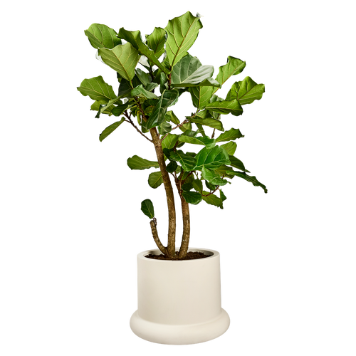elho lana 56 linnen wit | Bloempot | Trendgericht premium statementdesign