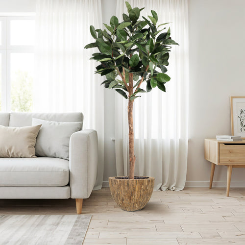 Maxifleur Ficus Elastica Robusta Kunstboom Deluxe 230cm