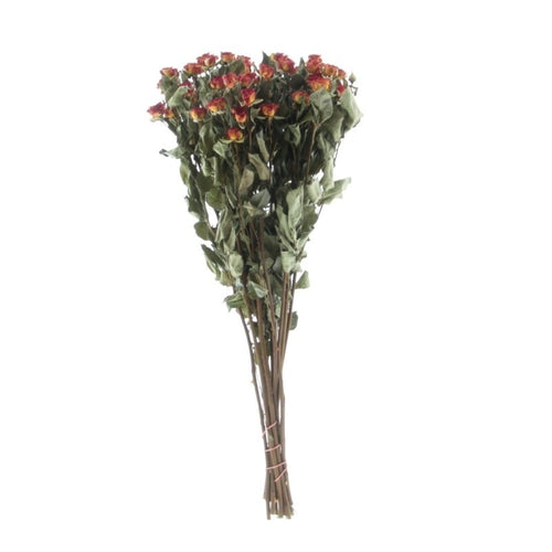 My Flowers.shop Tien gedroogde oranje trosrozen | Lengte 50 centimeter | Per bos te bestellen - vtwonen shop