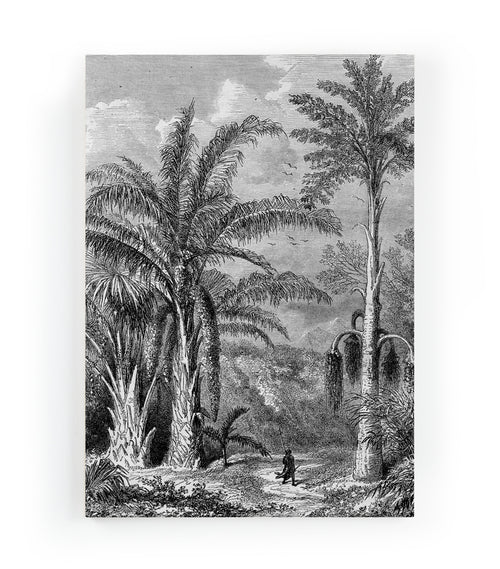 Canvas 60x40 Wandeling door de Jungle