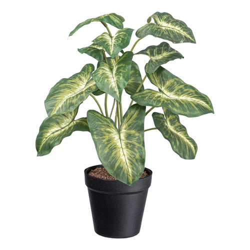 Flourify kunstplant - Syngonium Pixie - 38 cm - vtwonen shop