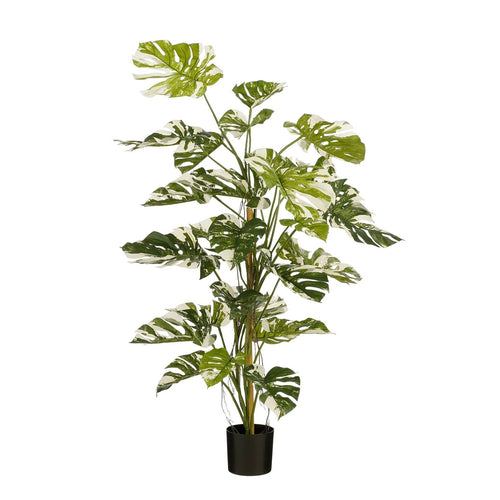 Mica Decorations Monsteraboom Kunstplant - H140 x Ø120 cm - Groen