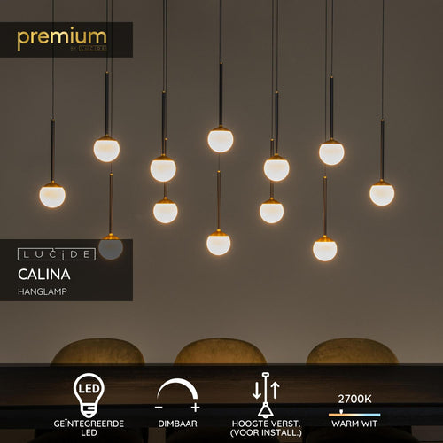 Lucide hanglamp CALINA - Geïntegreerde LED - Zwart - vtwonen shop