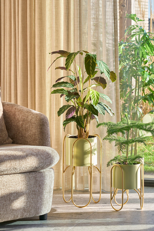 Mica Decorations Donau Bloempot op Standaard - Set van 2 - Metaal - H45 x Ø23 cm - Lichtgroen, Goud - vtwonen shop