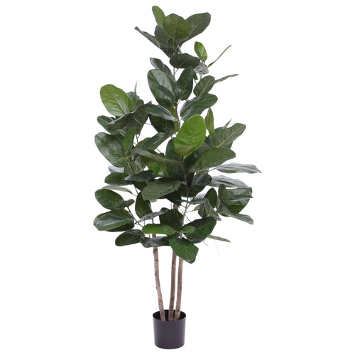 Maxifleur Ficus Audrey kunstplant 160cm