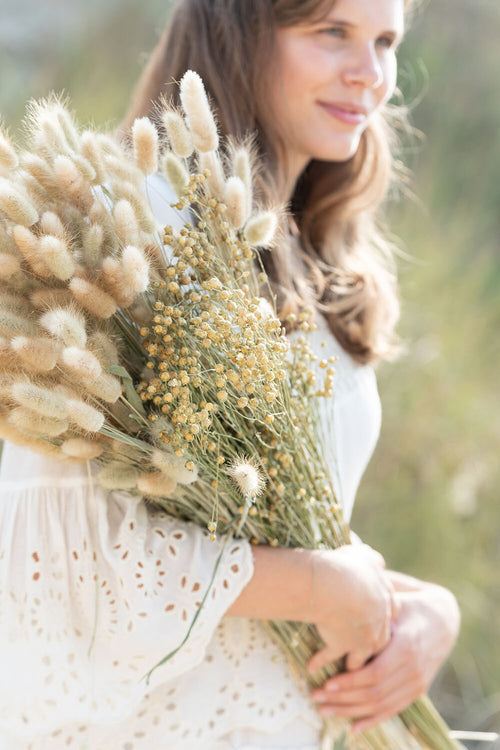 J-Line droogbloemen Hazenstaart - droog bundel pluim - naturel - vtwonen shop