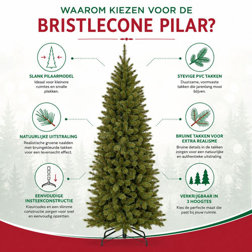 Triumph Tree Bristlecone Fir Pilar - Smalle Kerstboom voor Kleine Ruimtes - Kerstversiering met Volle Uitstraling - Kunstboom met 752 Dennentakken -