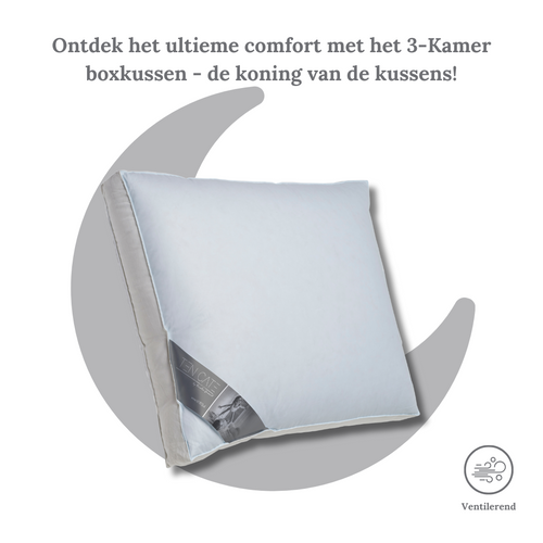 Ten Cate boxkussen - 3-kamer eendendons - 60x70