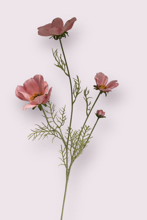 My Flowers.shop Roze cosmea zijden bloem | Lengte  95 centimeter | Per stuk - vtwonen shop