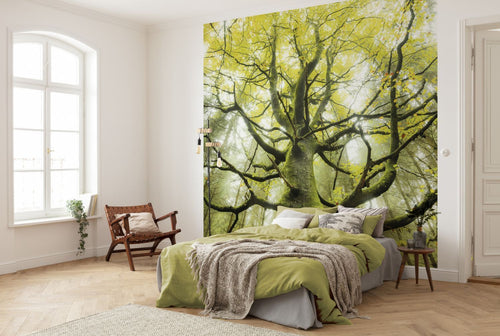 Sanders & Sanders fotobehang bos groen - 300 x 280 cm - 612590