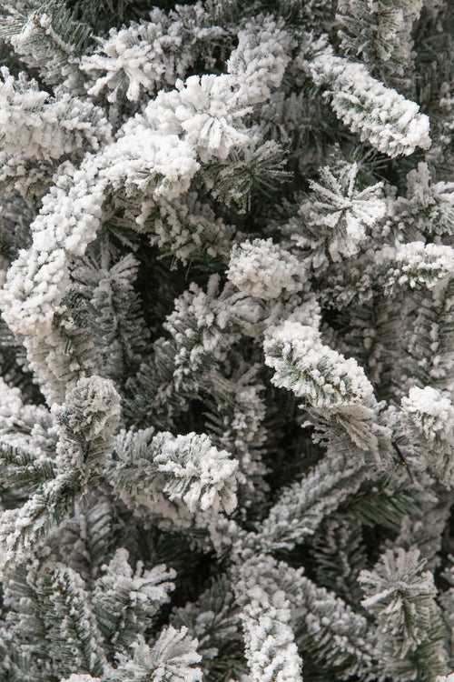 Black Box Trees Snowdon Kunst Kerstboom met Sneeuw - Kunstkerstboom H155 x Ø102 cm - Groen Frosted