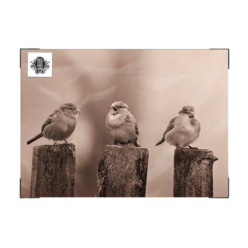Art for the Home Buitencanvas - Vroege Vogels - Sepia - 50x70cm - vtwonen shop
