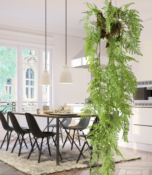 Flourify kunstplant - Varen - 145 cm