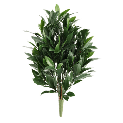 Maxifleur Laurier Kunstplant 50cm UV