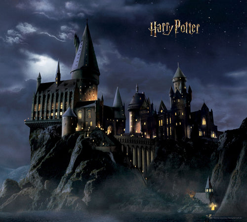 Sanders & Sanders fotobehang Harry Potter Zweinstein zwart en donkerblauw - 270 x 300 cm - 601189