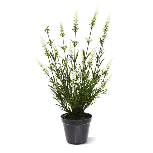 Maxifleur Lavendel kunstplant 50cm in pot - wit - UV bestendig