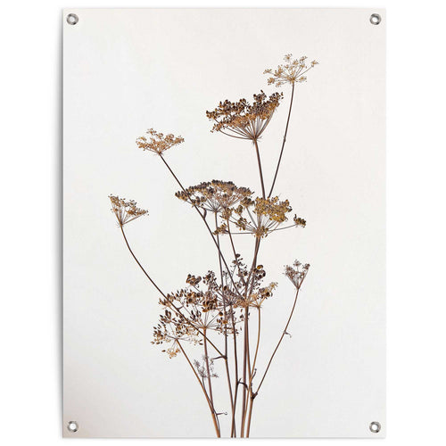 Reinders Fashion Flower tuinposter -  beige - tuin - 80x60cm