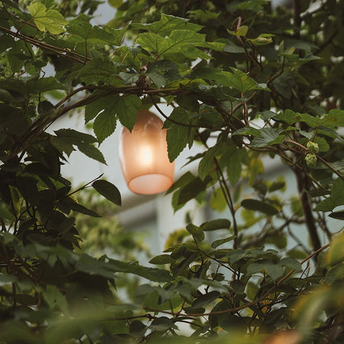 Weltevree Stringlight