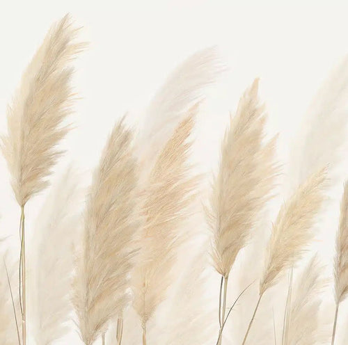 Sanders & Sanders fotobehang bladeren beige - 375 x 270 cm - 601438